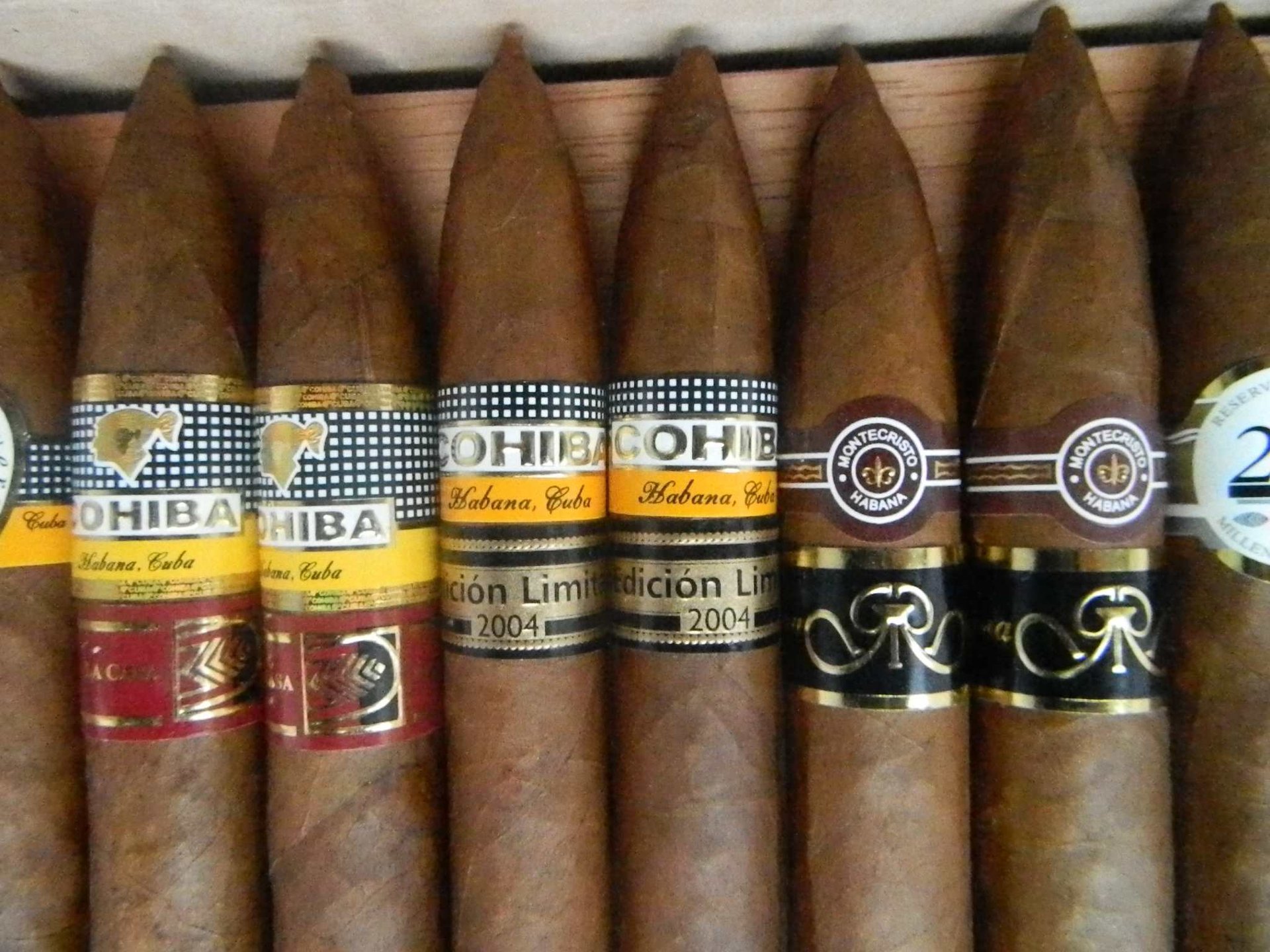 COHIBA PIRAMIDES 51