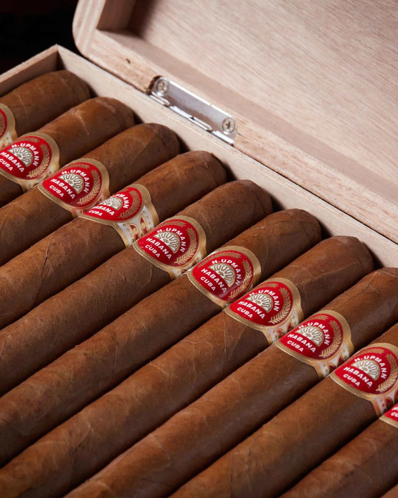 H Upmann Sir Winston 1