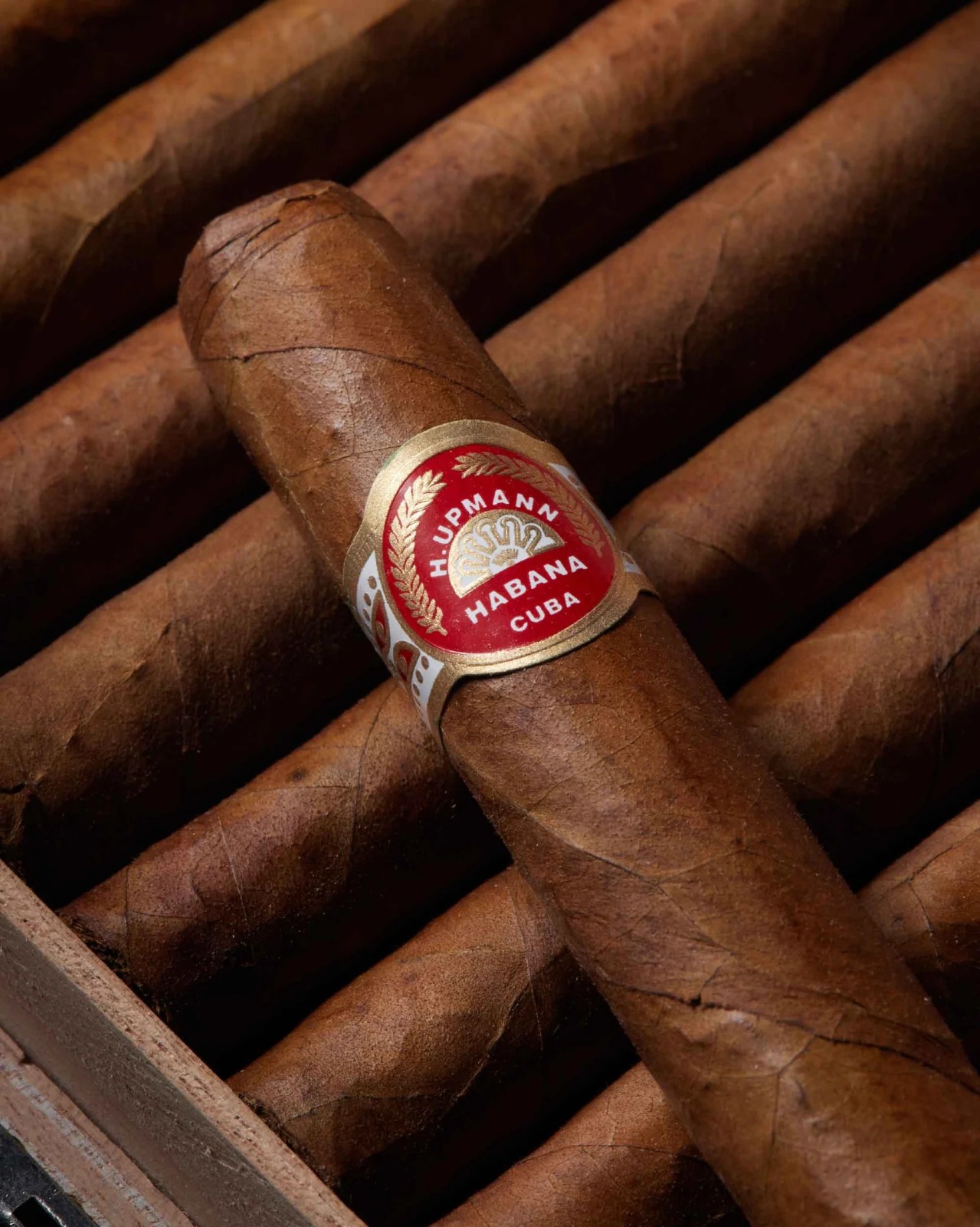 H Upmann Sir Winston 2