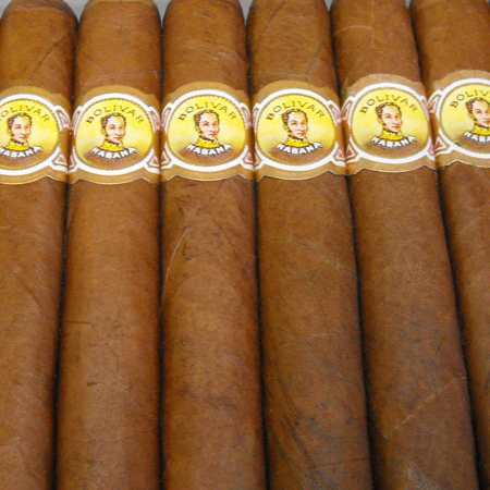 Bolivar Inmensas 21