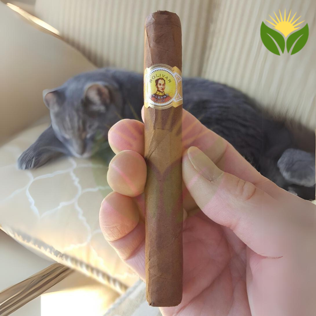 Bolivar Petit Coronas