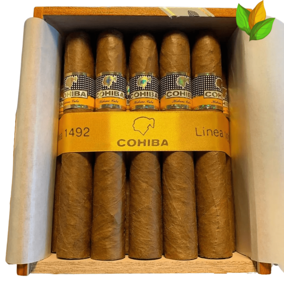 Cohiba Siglo VI - Cohiba Siglo VI