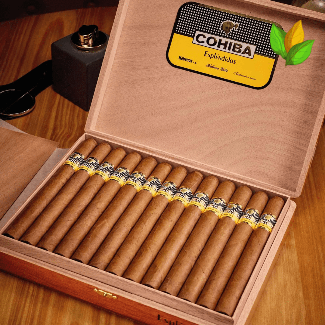 Cohiba Esplendidos