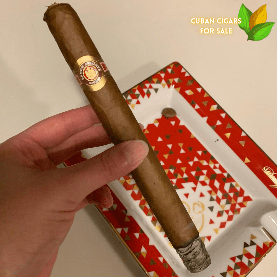 Ramon Allones Gigantes - Ramon Allones Gigantes