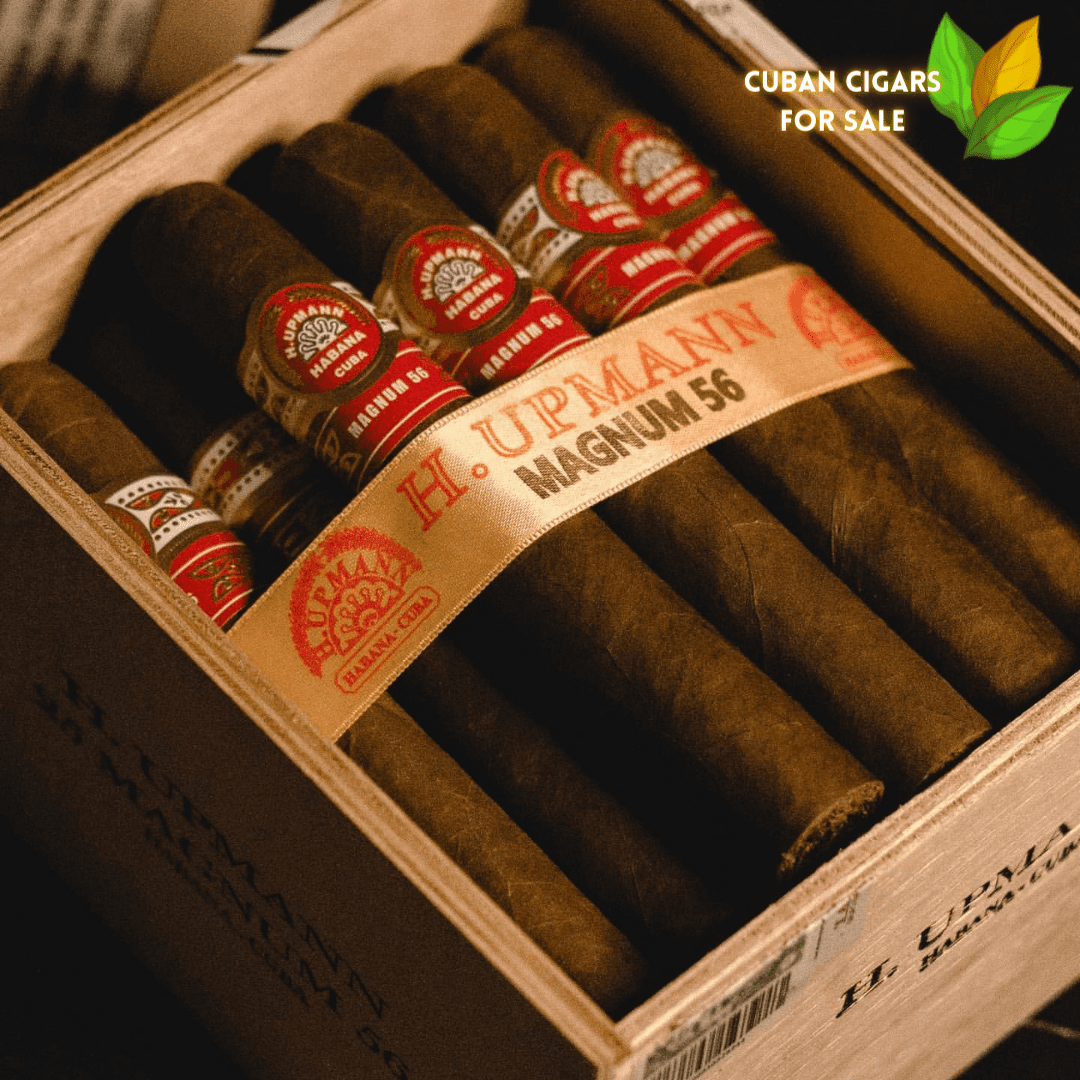 H Upmann Magnum 56 - H Upmann Magnum 56