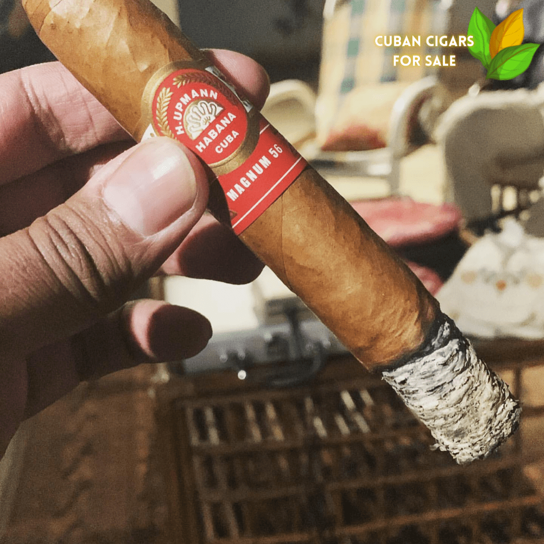 H Upmann Magnum 56 - H Upmann Magnum 56