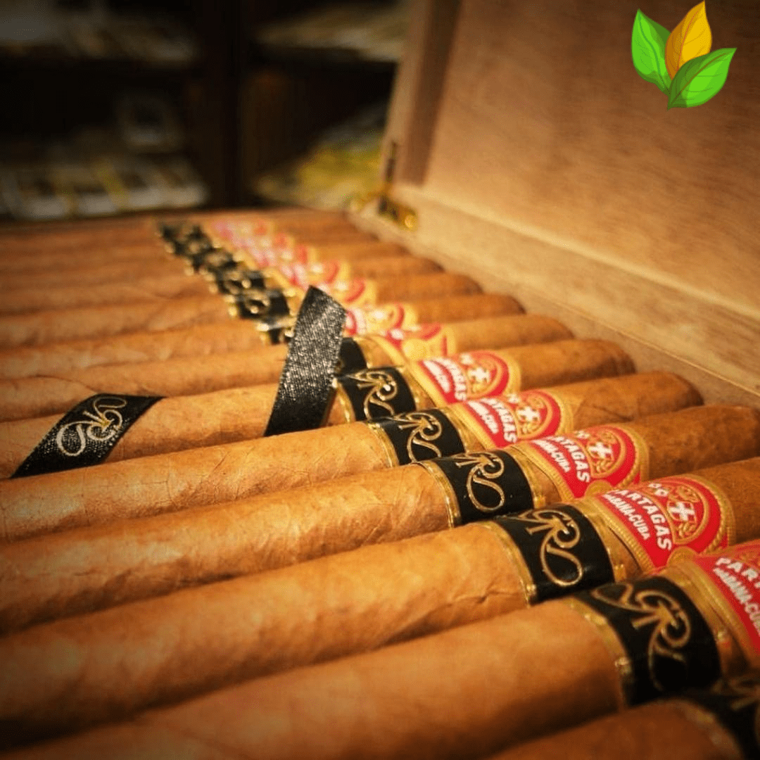 Partagas Lusitanias GR Cosecha 2007 - Partagas Lusitanias GR Cosecha 2007