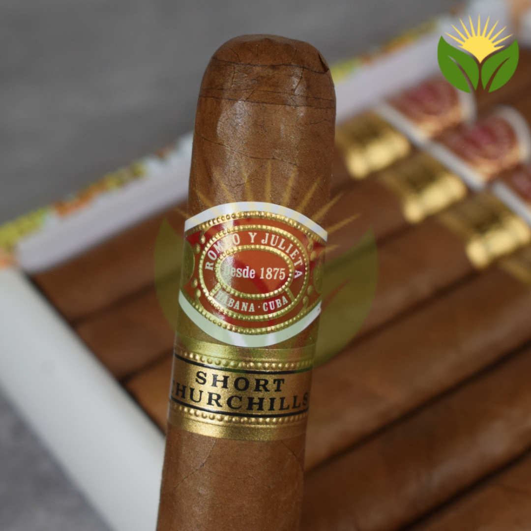 Romeo y Julieta Short Churchill