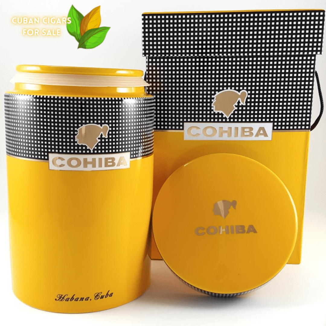 Ceramic Jar Cohiba Piramides EXTRA