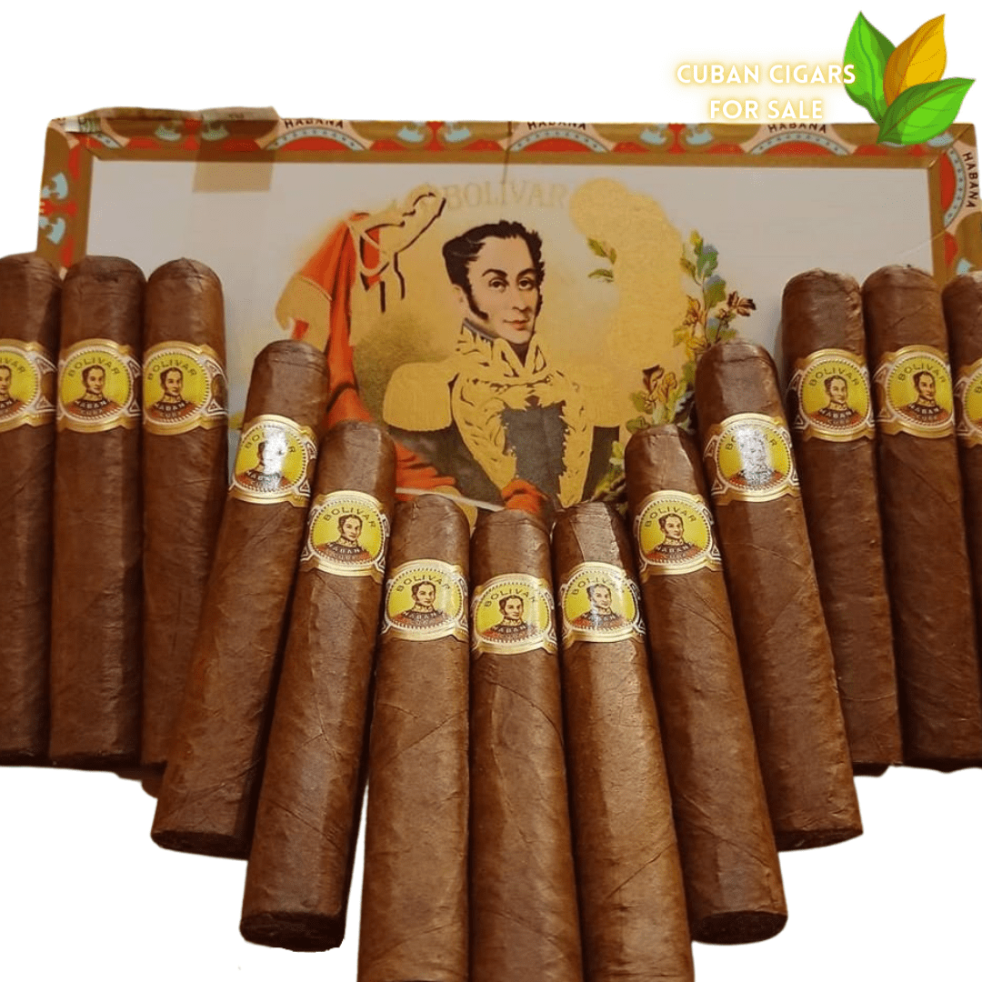 Bolivar Royal Corona - Bolivar Royal Corona