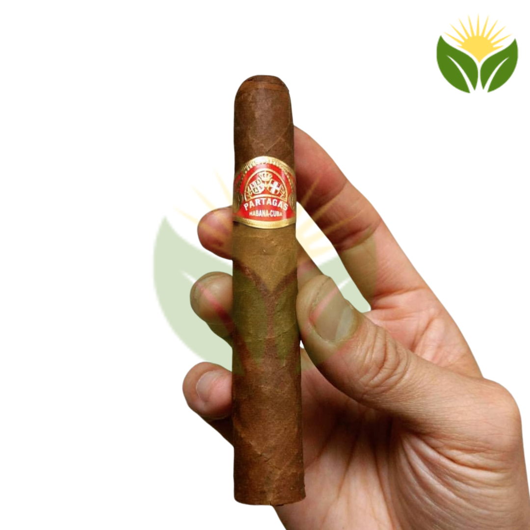 Partagas Shorts