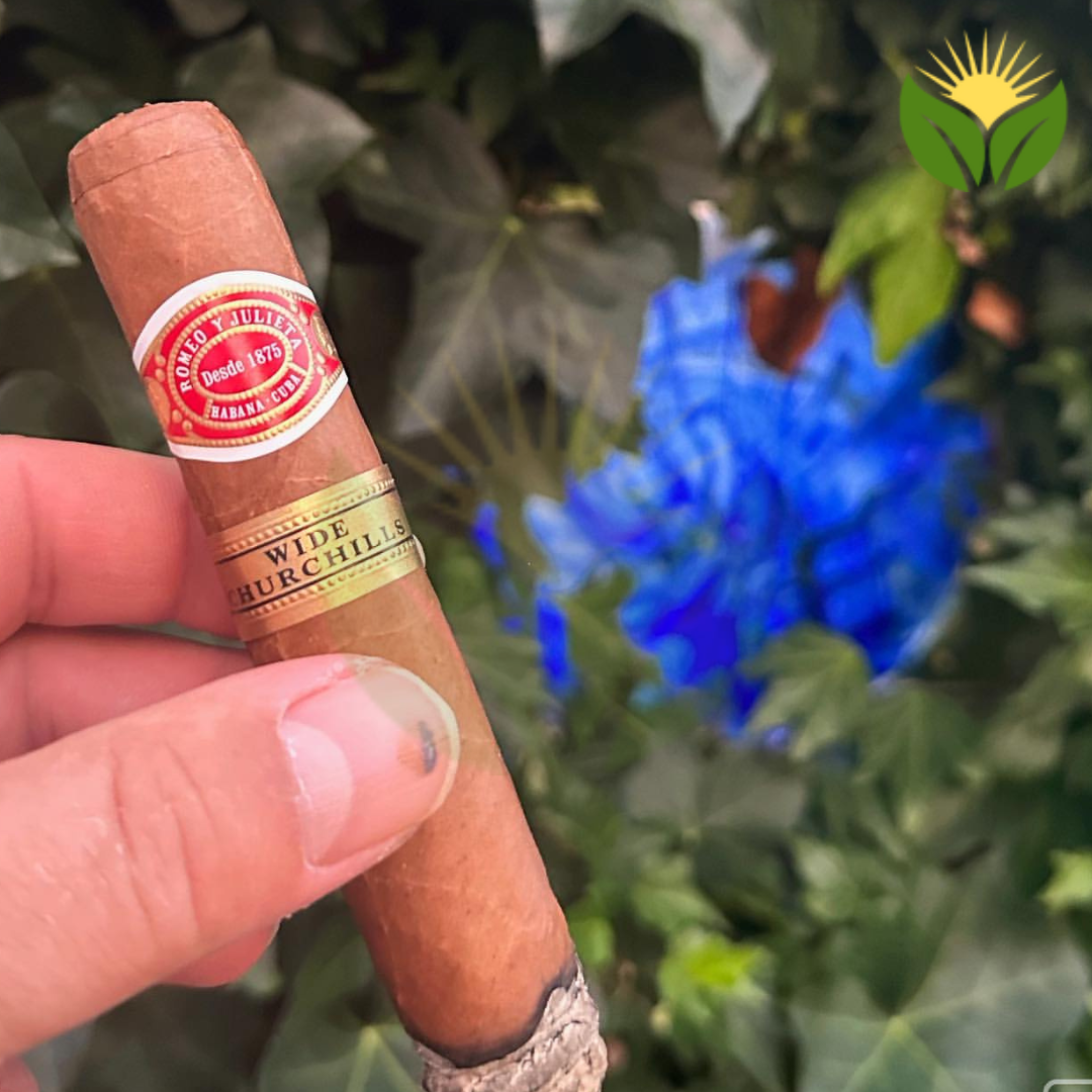 Romeo y Julieta Wide Churchill