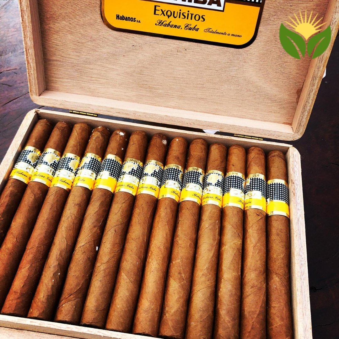 Cohiba Exquisitos