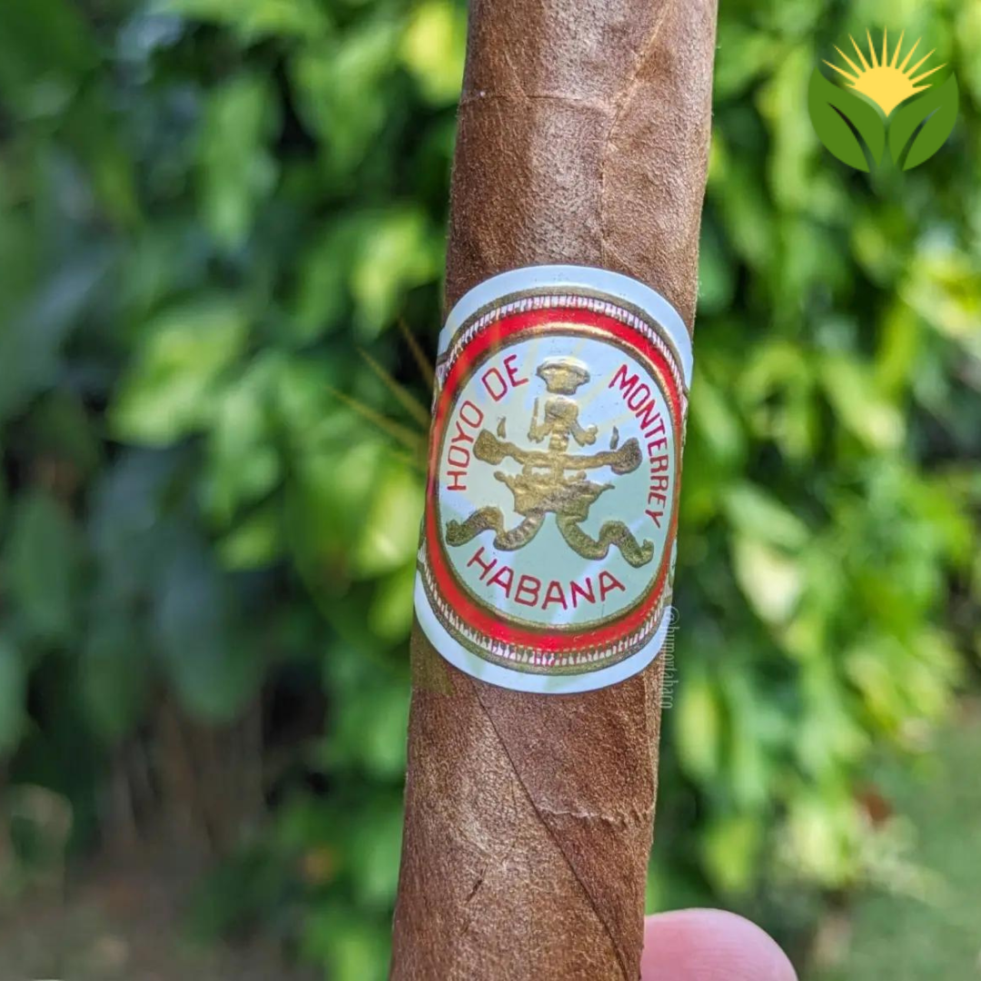 Hoyo de Monterrey Double Corona