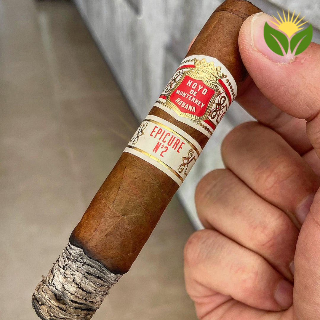 Hoyo de Monterrey Epicure No. 2