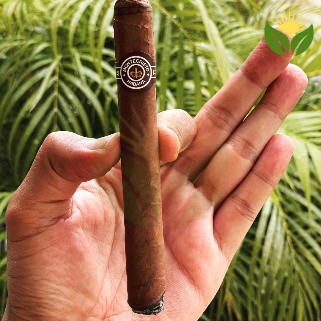 Montecristo No 3