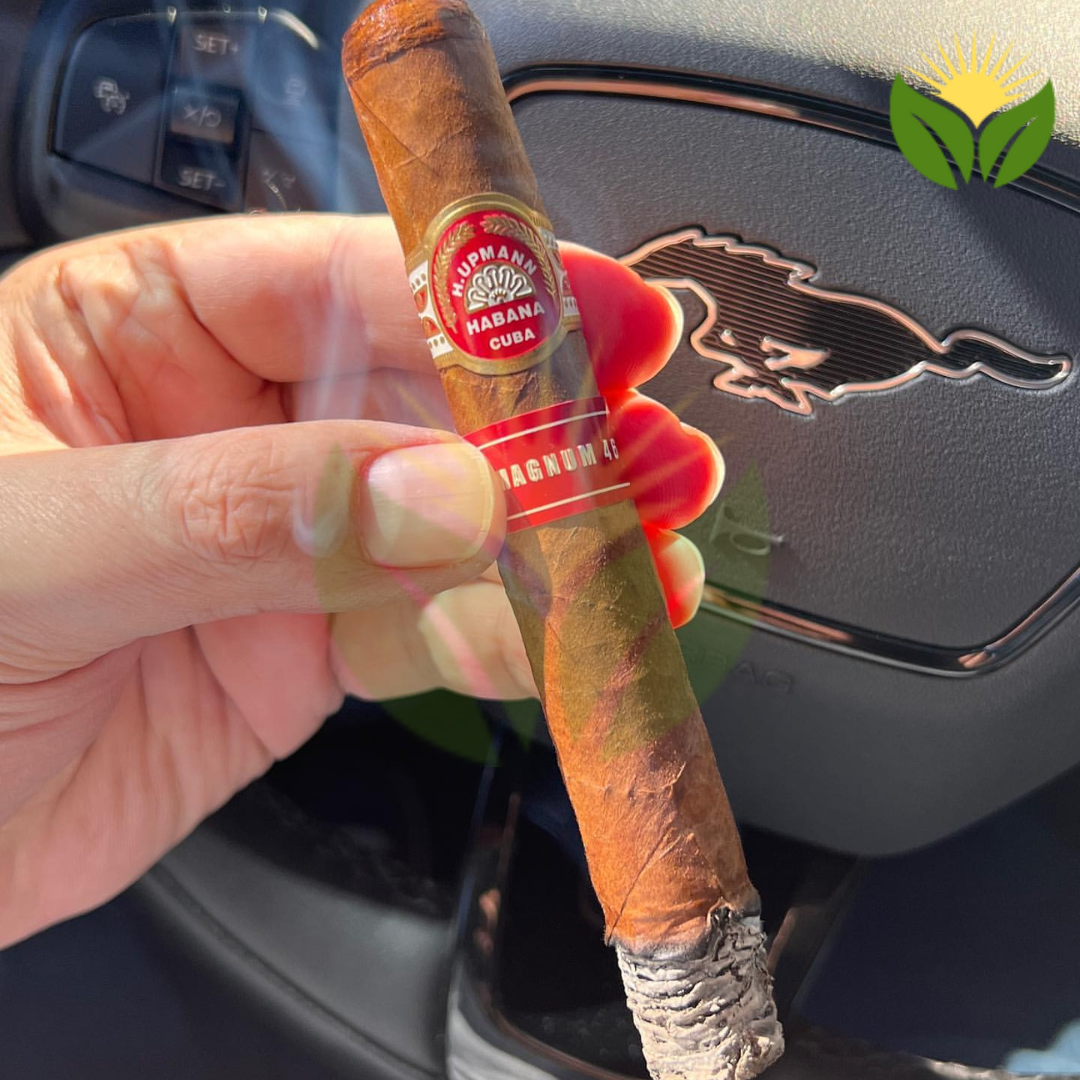 H Upmann Magnum 46