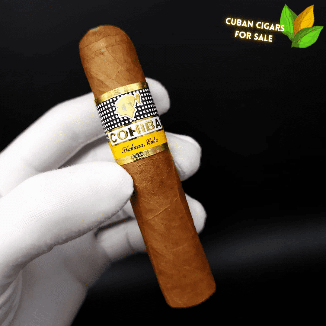 Cohiba Medio Siglo