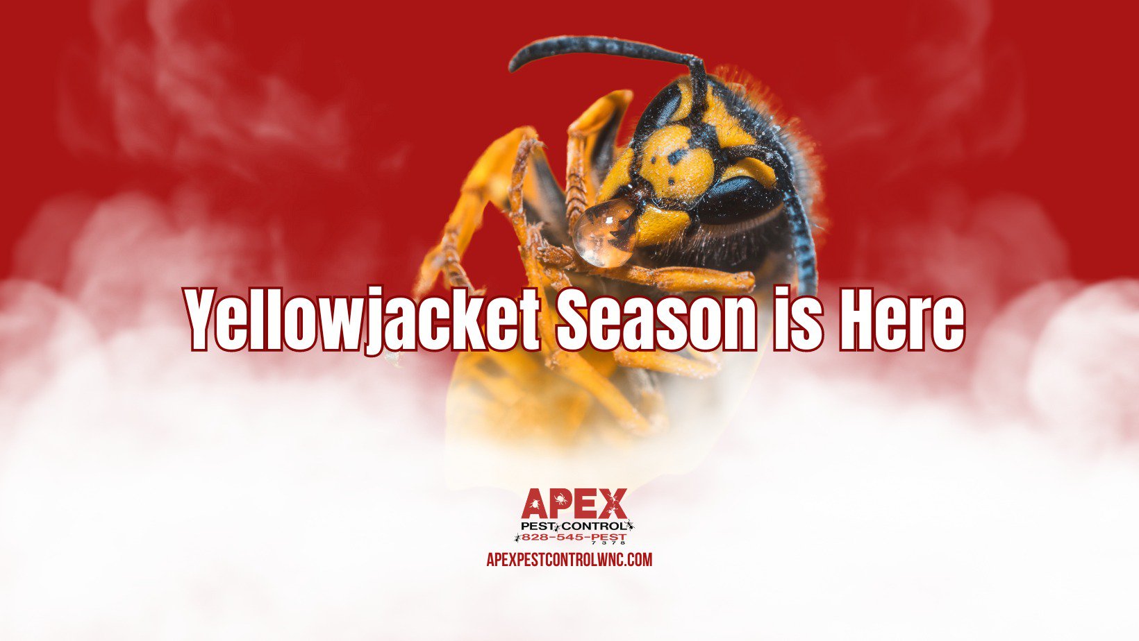 Apex Pest Control Asheville WNC