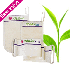 baiden system best Value