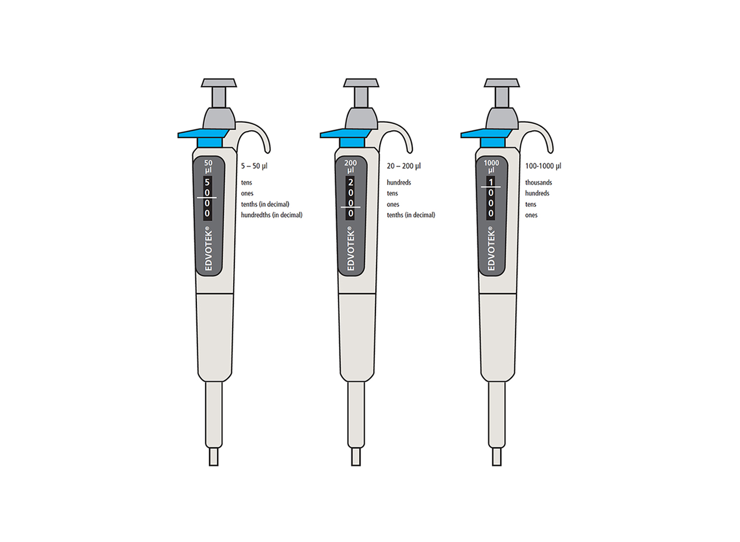 How to Read Micropipette Volumes Accurately [2024 Updated]