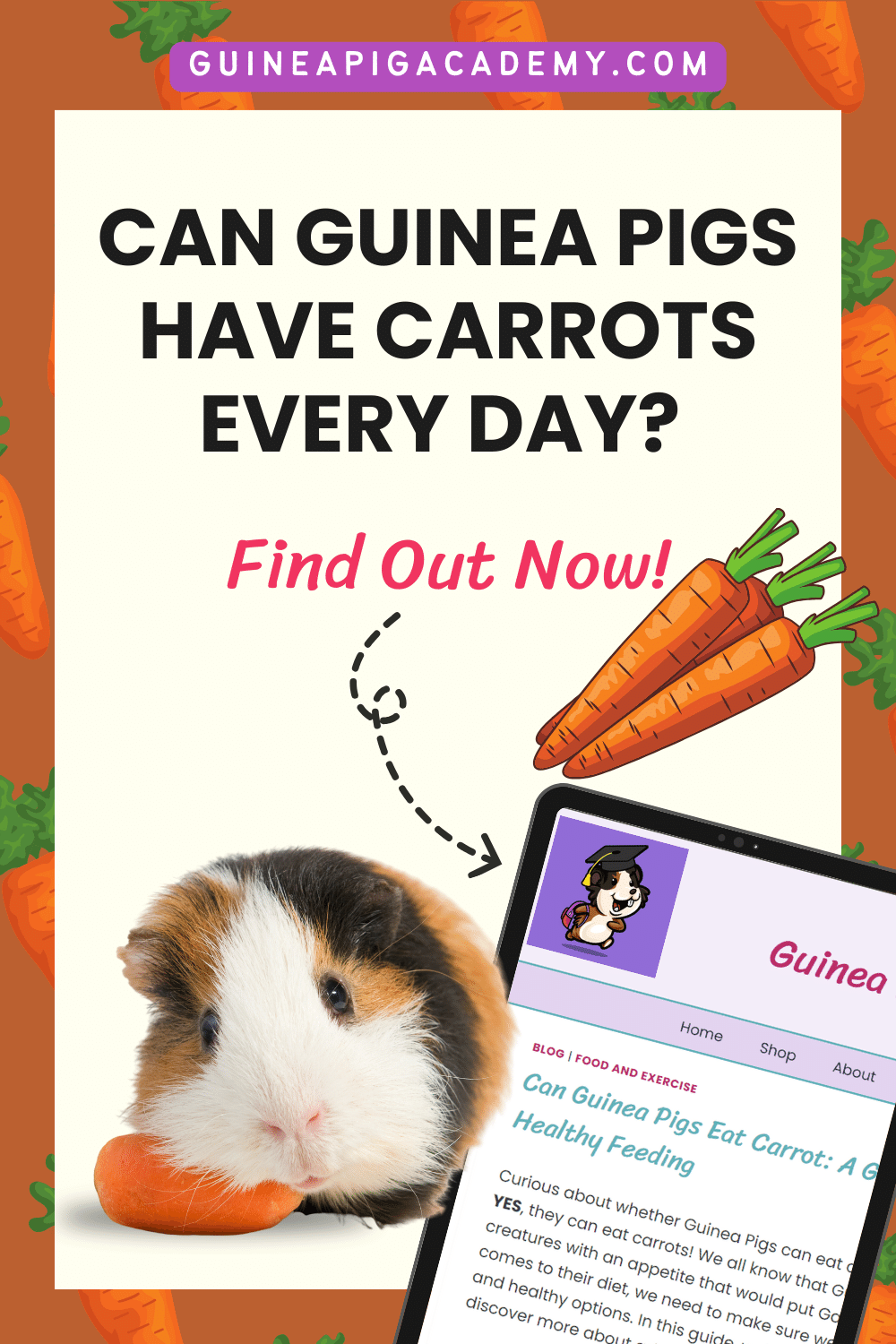 Can Guinea Pigs Eat Carrot A Guide to Safe and Healthy Feeding Guinea Pig Academy