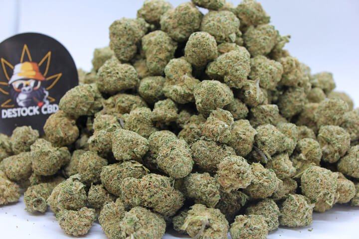 Candy kush mini bud indoor - Destock CBD1