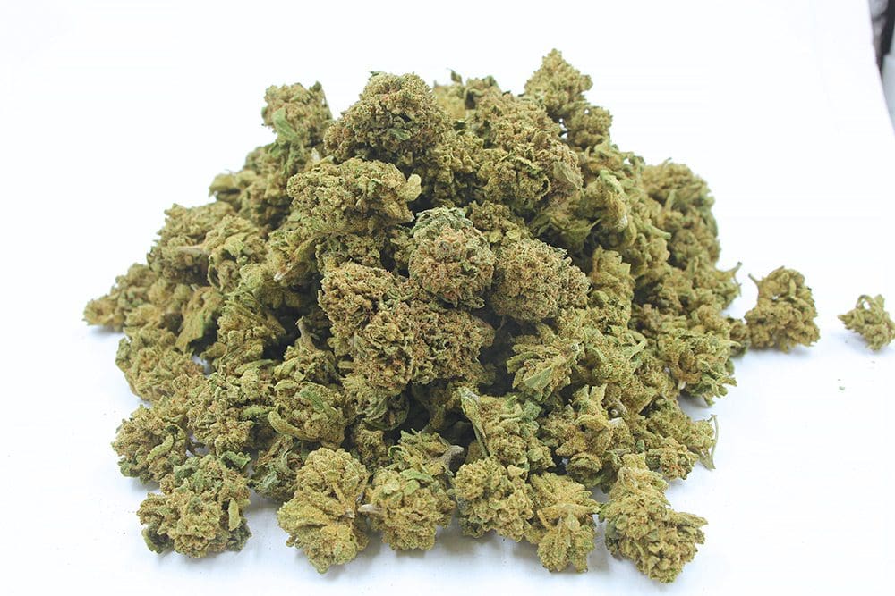 Mini-buds-Cannatonic-CBD-Wholesaler-5-Récupéré-1.jpg