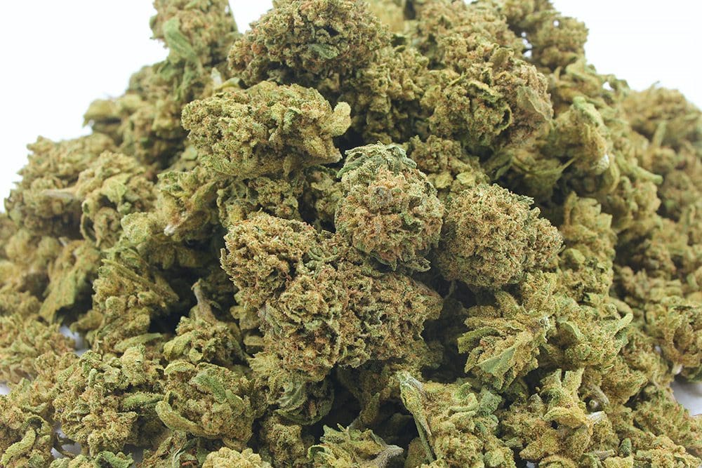 Mini-buds-Cannatonic-CBD-Wholesaler-3-Récupéré-1.jpg