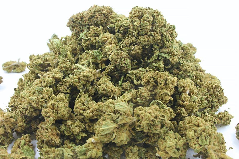 Mini-buds-Cannatonic-CBD-Wholesaler-Récupéré-1.jpg