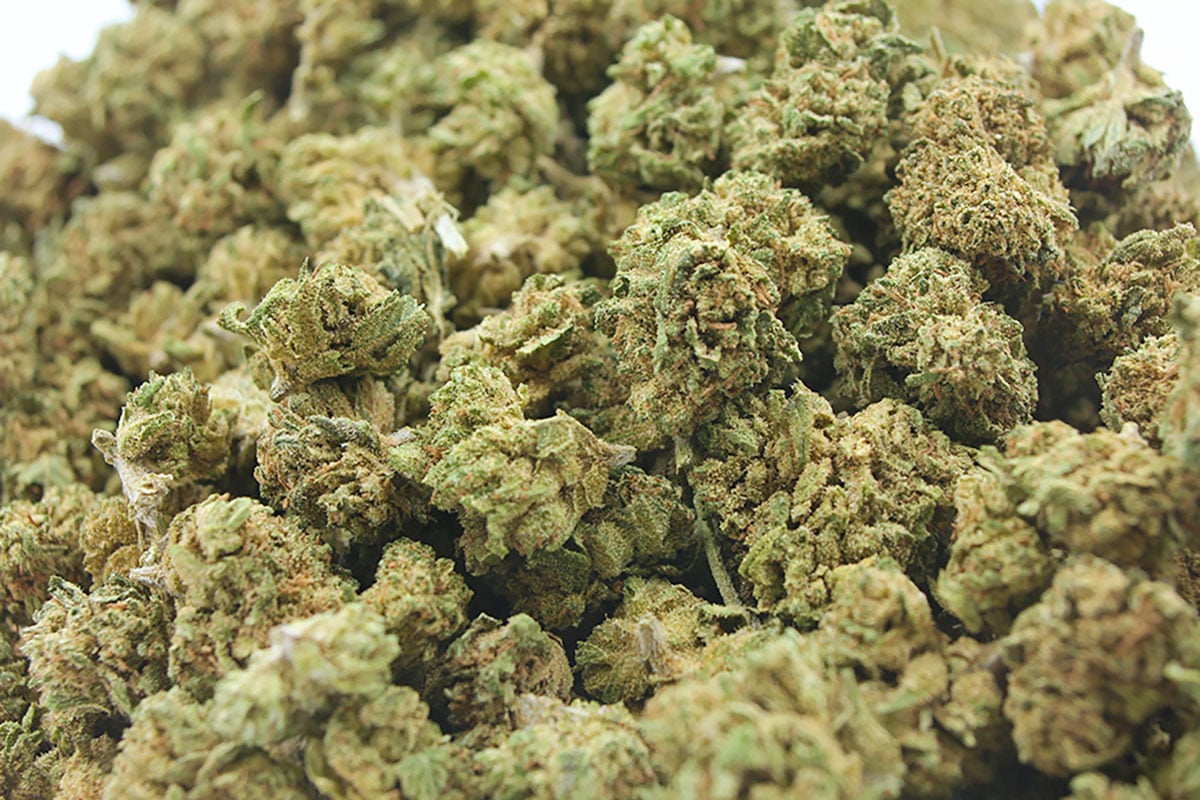 Gorilla-Glue-4.jpg