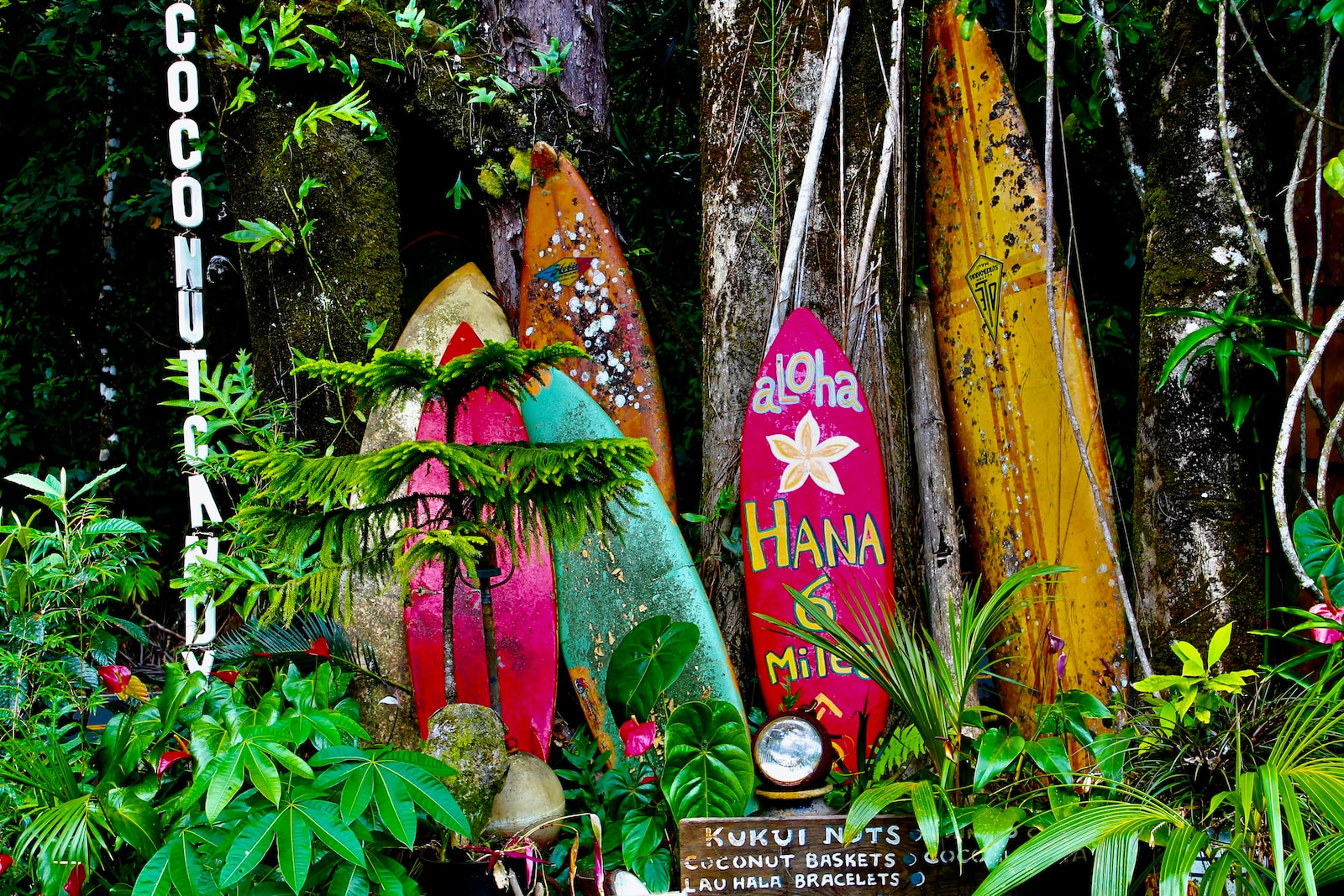 maui hawaii surfboards