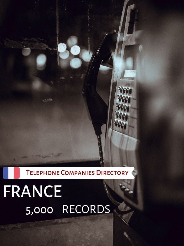 france business email database