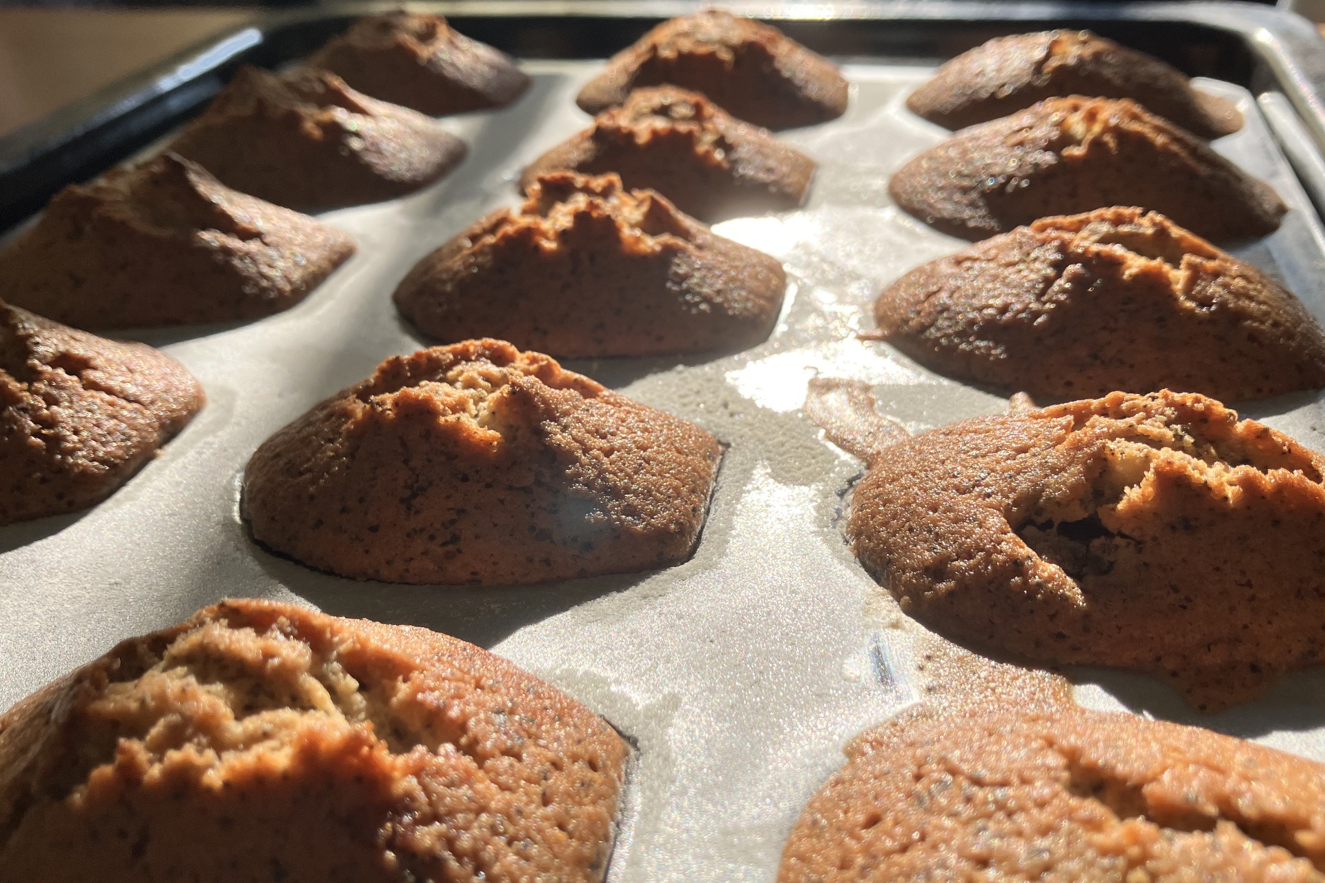 earlgrey apricot madeleines in tray