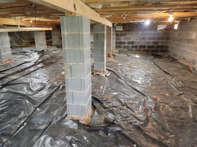 Scouts Pest Control Greenville SC