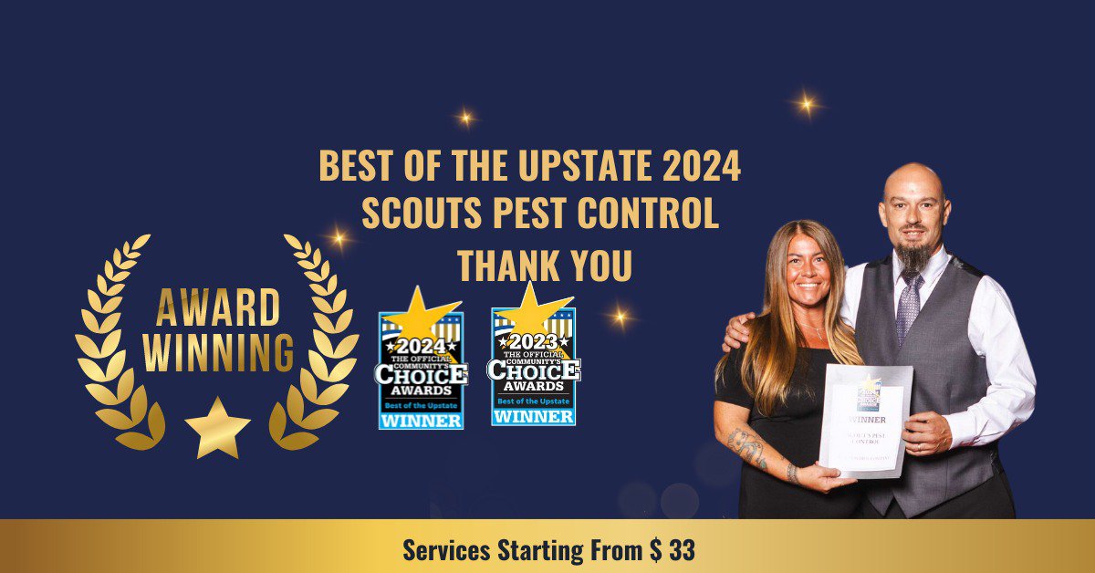 Scouts Pest Control Greenville SC