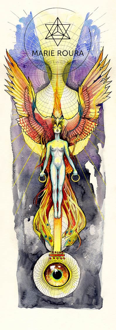 le phoenix illustration oiseau mythique
