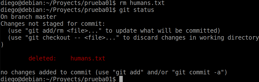 20 git status tras eliminación manual