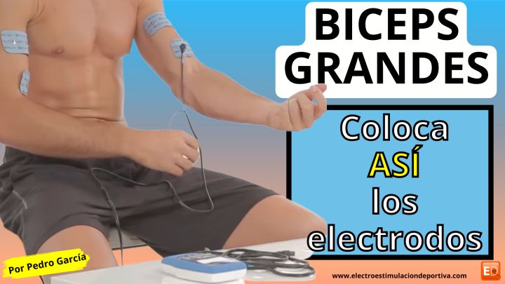 Ganar masa muscular en https://www.electroestimulaciondeportiva.com/