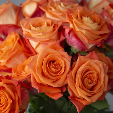 A Divine Auburn Rose Bouquet in a vase.