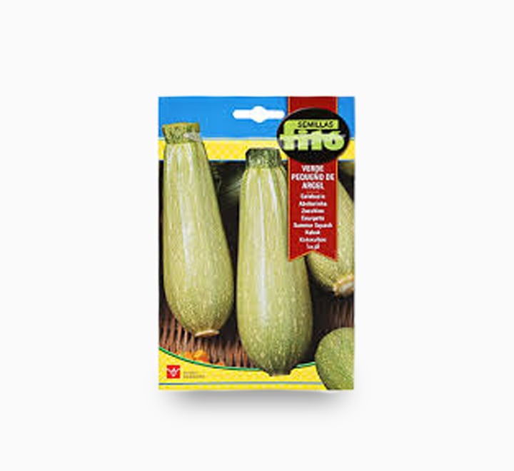 Squash Verde Pequeno De Argel 10g – Fito