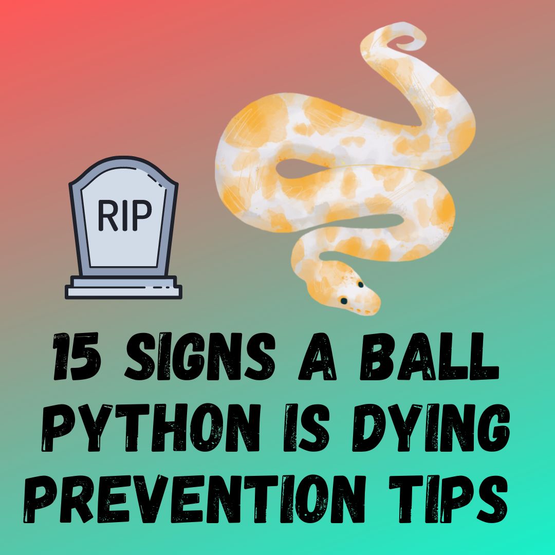 15 Signs Of Dying Ball Python (Causes And Prevention)