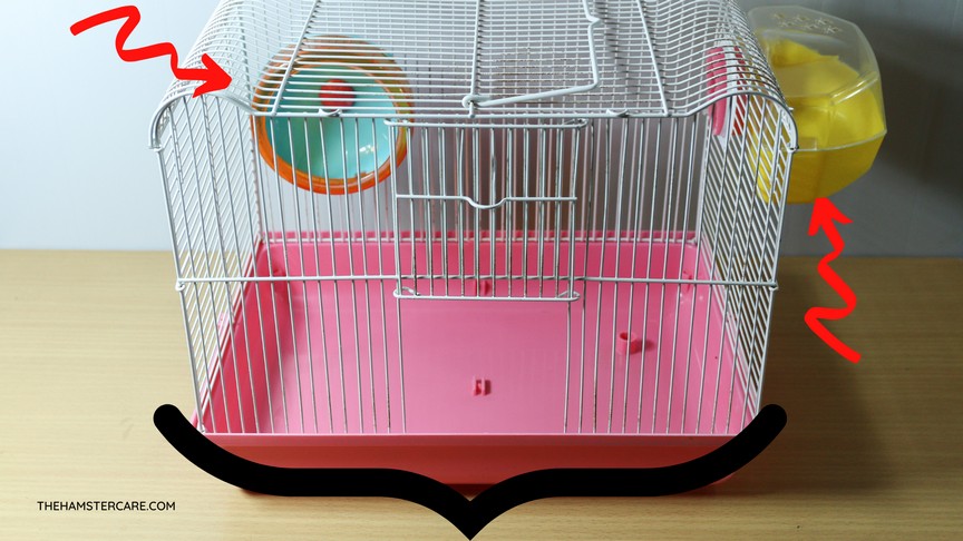 15 Things How To Set Up a Hamster Cage Tips