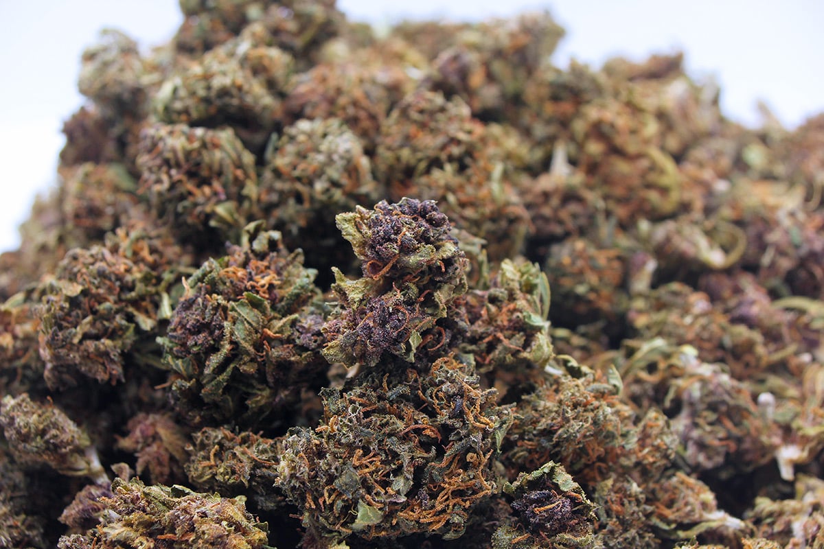 Purple_CBD-1.jpg