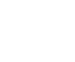 Icon Prime