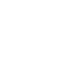 Icon Prime